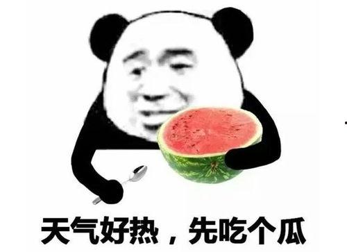 吃瓜表情包怎么回复